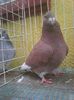 Photo0603