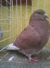 Photo0604