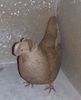 20170118_055050-1