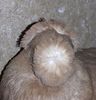 20170118_054857-1