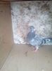 received_1843614789237608