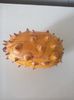 Kiwano