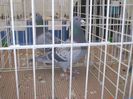 PICT0286