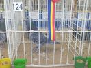 PICT0301