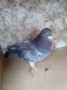 received_1843615325904221