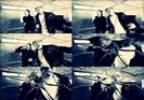 ✖ Dᴀʏ 109 × 28.01.2017 ✖