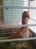 Photo0347