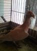 Photo0348