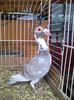 Photo0353