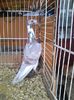 Photo0354