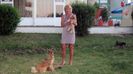 Cu puii de catel