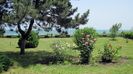 Gradina
