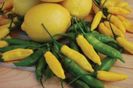 Ardei iute Lemon2