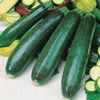 Dovlecei tufa Zucchini