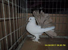 SAM_5063
