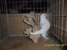 SAM_5065