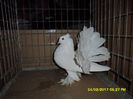 SAM_5066