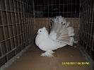 SAM_5078