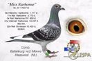 NL07-1765713  Narbonne\