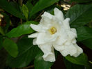 P1340572