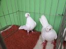 SAM_5685