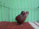 SAM_5754