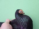 SAM_5820
