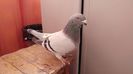 IMG-20170210-WA0023