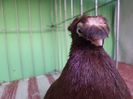 SAM_5858