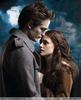 New_Moon_1233929599_4_2009[2]