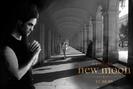 The_Twilight_Saga_New_Moon_1239554733_2_2009
