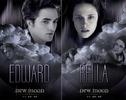 The_Twilight_Saga_New_Moon_1241027786_1_2009[2]