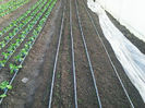 Photo0343