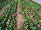 Photo0345