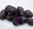 cartofii-mov 0721339995 cartofi violet