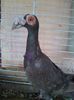 Photo0523