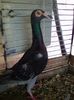 Photo0526
