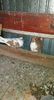 received_1733144113664280