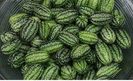 Cucamelon-Melothiria scabra-Castravete 5 seminte - 3 RON