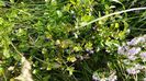 IMG-20160810-WA0076