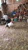 IMG-20170310-WA0052