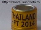 thailand hft 2014.