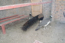 DSC01021