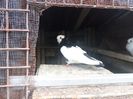 SAM_3877