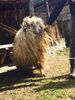 IMG-20170319-WA0052