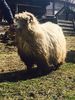 IMG-20170319-WA0050