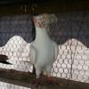 20170325_M15