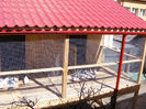 nou 002