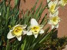 24 mart (9)