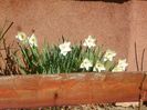 29 mart (15)